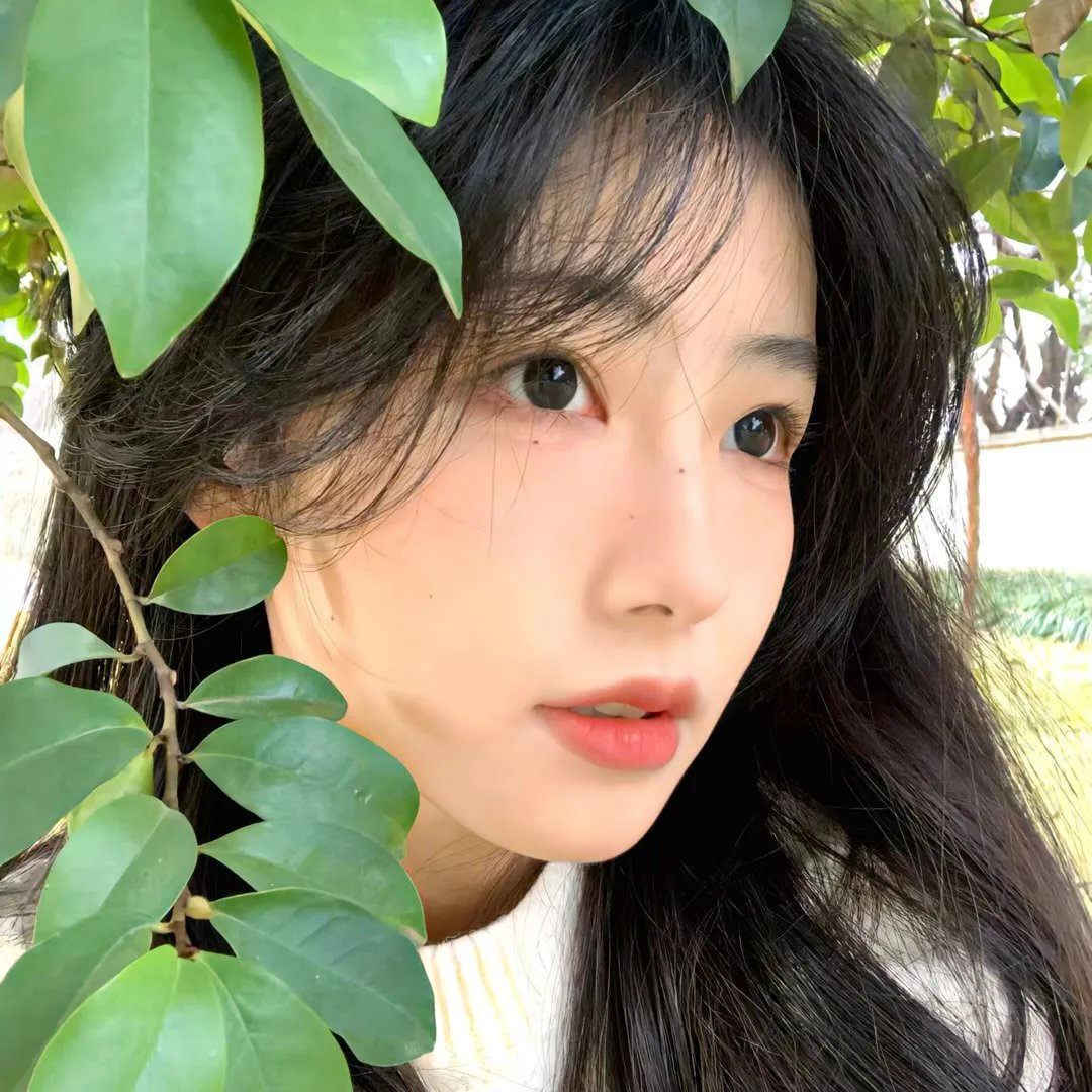 伏栗熊